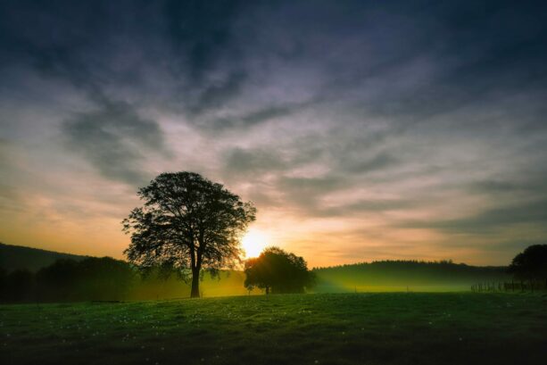 BELGIUM Sunrise